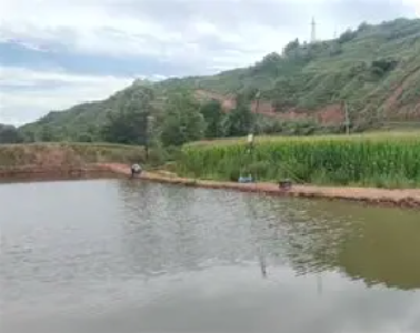 武穴街道扎实推进防溺水工作守护群众生命安全