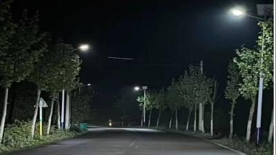 农业强镇 高铁小镇 文旅新镇——花桥镇争做武穴经济发展“当家花旦”