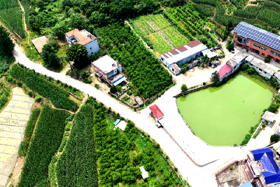 六年笨功夫，锻造乡村振兴“幸福工坊”