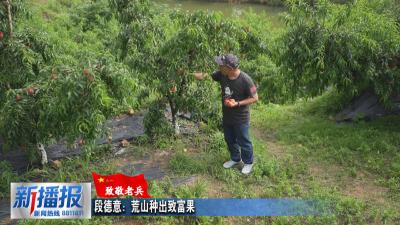 致敬老兵｜段德意：荒山种出致富果