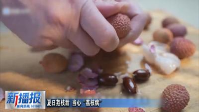 生活小贴士｜夏日荔枝甜 当心“荔枝病”