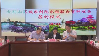 鄂豫皖三省携手打造大别山优质水稻“良种芯”