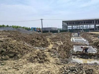 从“论吨卖原料”到“吃干榨净深加工”  浠水鳗鱼产业迈向高质量发展新赛道