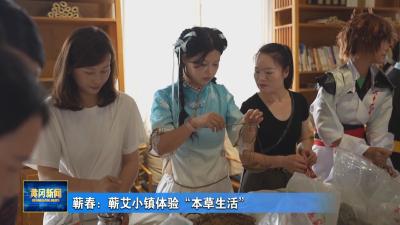 蕲春：蕲艾小镇体验“本草生活”