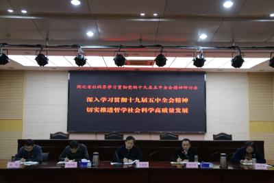 湖北省社科界学习宣传贯彻​党的十九届五中全会精神研讨会在汉举行  