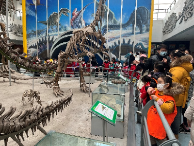 擦亮地学科普名片：中国地质大学逸夫博物馆建设全国科普教育基地纪事 