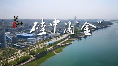 《是这个理》：硅中淘“金”