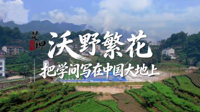 《是这个理》| 沃野繁花：把学问写在中国大地上