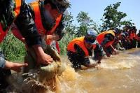 致敬 | 有你，山河无恙！