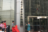 武汉广播影视传媒集团有限公司成立
