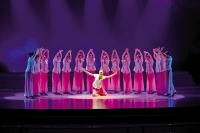 首届湖北省社会文艺团队展演 观众可凭身份证领免费票