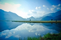 第二届湖北文化发展论坛举行