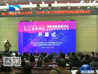 第三届海峡两岸创意创新高峰论坛在汉举行