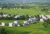 推动移风易俗 树立文明乡风