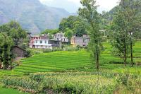 宜昌七部门联手遏制农村人情风