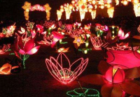 舞台银屏 元宵佳节好戏来