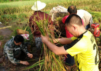 梁伟年在保康调研时强调：认真扎实推进精准脱贫