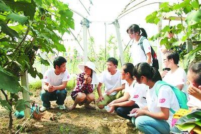 王艳玲强调坚决打赢精准脱贫攻坚战 确保巴东如期脱贫奔小康