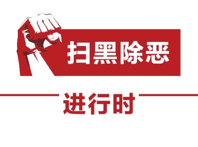 中央扫黑除恶第12督导组到襄阳开展“回头看”