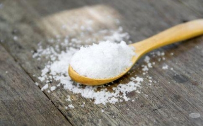 哪些食物会伤害肾?高蛋白食物也伤肾吗?
