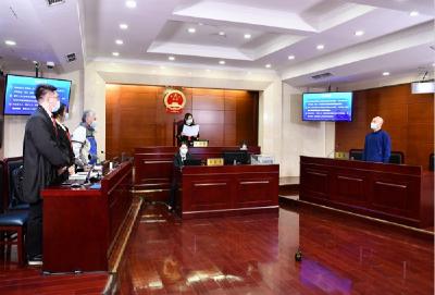透视各地民法典第一案