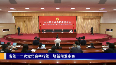 湖北省第十二次党代会准备工作全部就绪