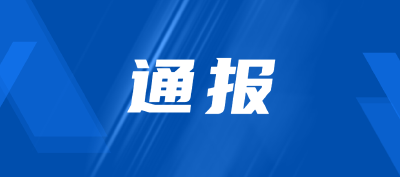 中共湖北省委深入贯彻中央八项规定精神学习教育工作专班 中共湖北省纪委办公厅关于5起风腐一体典型问题的通报
