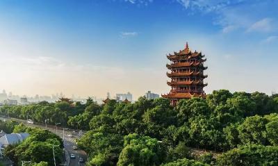王忠林主持省委理论学习中心组集体学习时强调 以案为鉴 警钟长鸣 锲而不舍落实中央八项规定精神