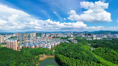 通城：家风育廉清风来