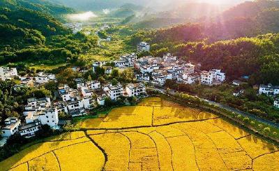 巡察微故事 | “廉价地”跃升“增收地”