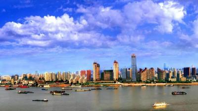 武汉：笃行实干谋发展 踔厉奋发绘新篇