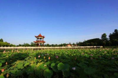 洪湖：完善制度堵塞漏洞 规范“一把手”履职用权