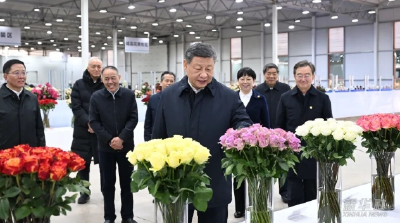 习近平在云南丽江市考察调研