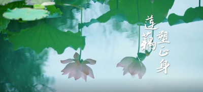 清廉中国 | 莲藕塑正身