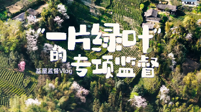基层监督vlog | “一片绿叶”的专项监督