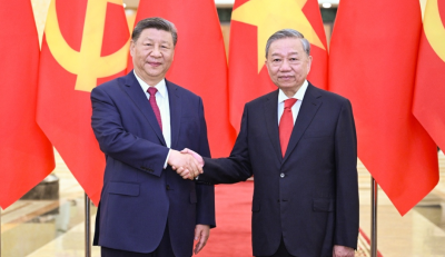 习近平同越共中央总书记苏林举行会谈