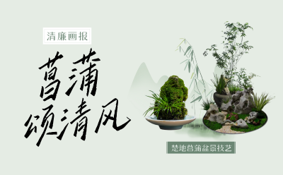 清廉画报 | 菖蒲颂清风