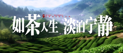楚韵清风 | 如茶人生 淡泊宁静