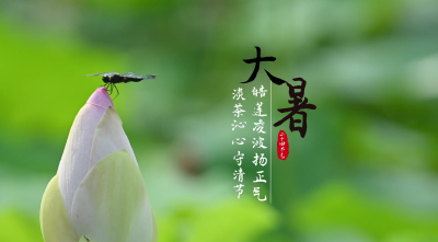 节气说廉 | 大暑：皓莲凌波扬正气 淡茶沁心守清节