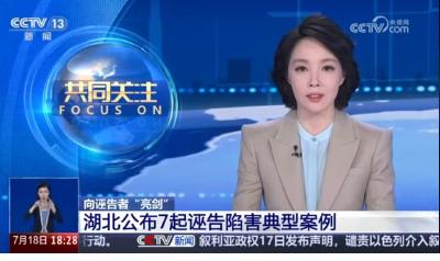 向诬告者“亮剑” 湖北公布7起诬告陷害典型案例