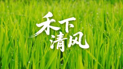 微电影展播 | 禾下清风