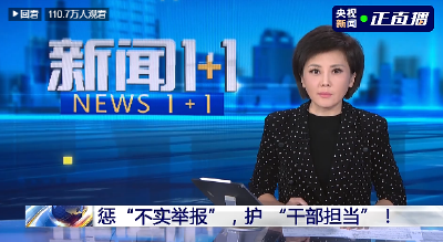 新闻1+1 | 惩“不实举报”，护“干部担当”！