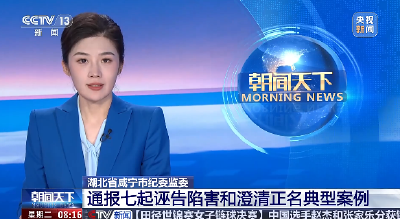央视新闻 | 湖北省咸宁市纪委监委通报七起诬告陷害和澄清正名典型案例
