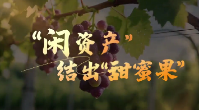 基层监督vlog | “闲资产”结出“甜蜜果”