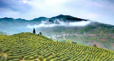 竹溪：逐案过筛 以评促改提升案件质量