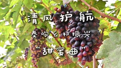 基层监督vlog | 清风护航 奏响乡村振兴“甜蜜曲”