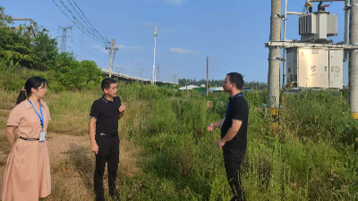 巡察微故事 | 为百亩鱼塘充上“满格电”