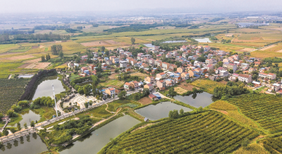 巡察微故事丨“巡”来活水润心田