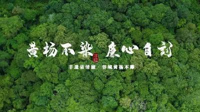 非遗话清廉 | 黄杨不染 廉心自刻