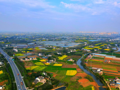 枝江：举一反三系统治理 同题共答办好民生实事